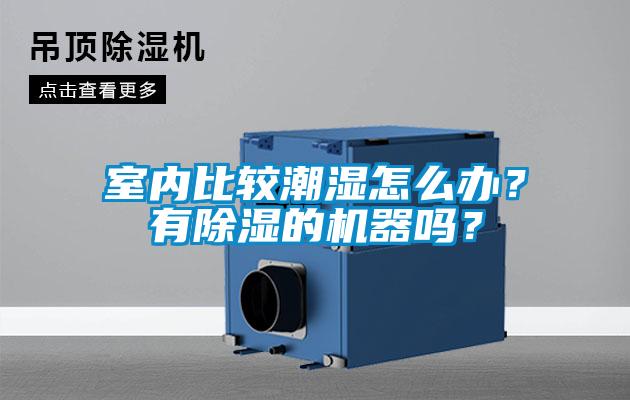 室內(nèi)比較潮濕怎么辦？有除濕的機器嗎？