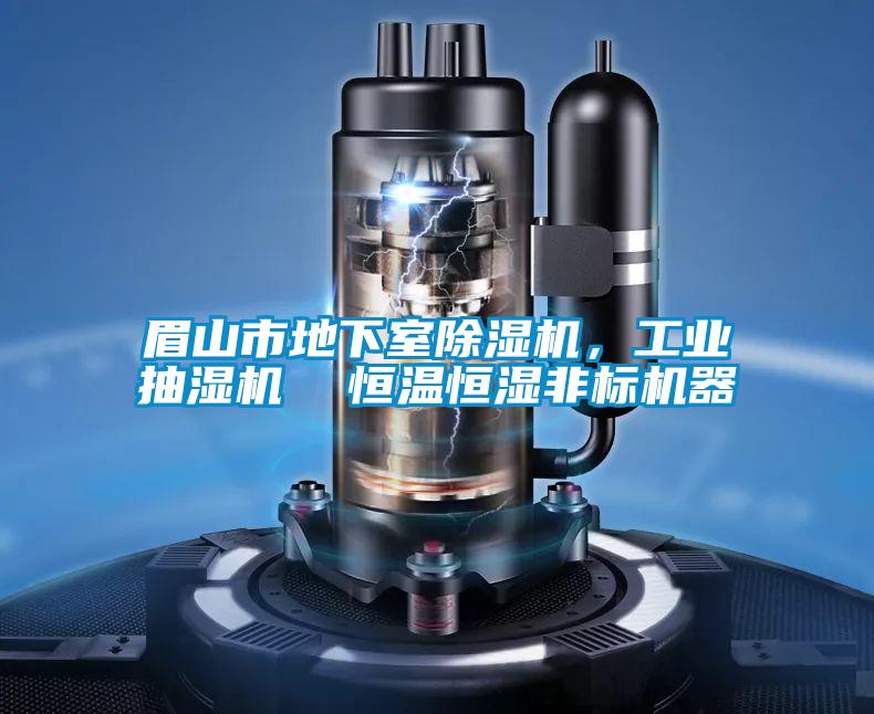 眉山市地下室除濕機，工業(yè)抽濕機  恒溫恒濕非標(biāo)機器