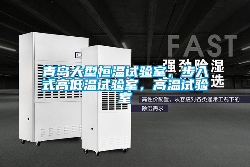 青島大型恒溫試驗室,步入式高低溫試驗室,高溫試驗室