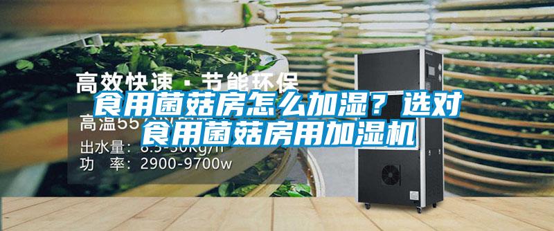 食用菌菇房怎么加濕？選對食用菌菇房用加濕機