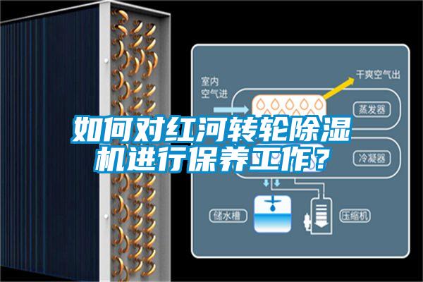 如何對(duì)紅河轉(zhuǎn)輪除濕機(jī)進(jìn)行保養(yǎng)工作?