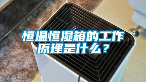 恒溫恒濕箱的工作原理是什么？