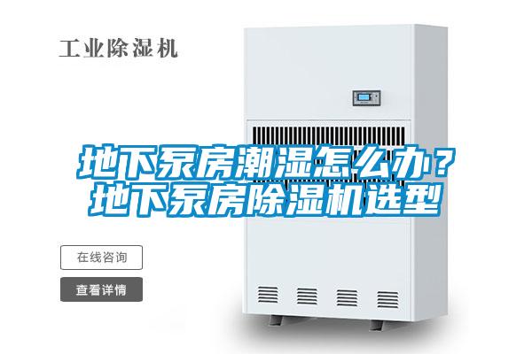 地下泵房潮濕怎么辦?地下泵房除濕機(jī)選型