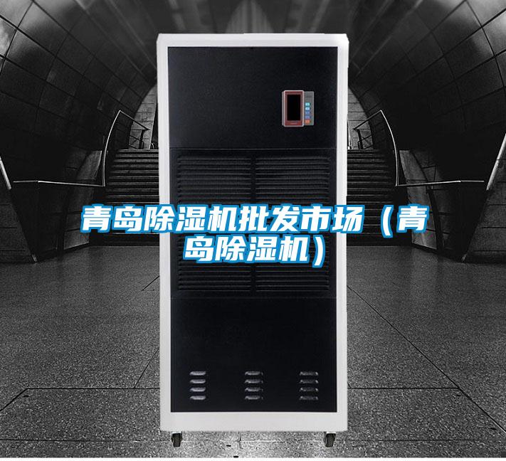 青島除濕機批發市場(青島除濕機)