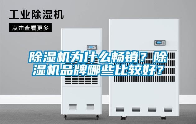 除濕機(jī)為什么暢銷(xiāo)？除濕機(jī)品牌哪些比較好？
