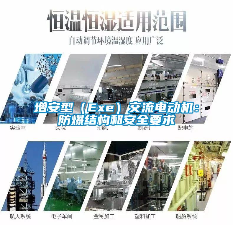 增安型(Exe)交流電動機:防爆結(jié)構(gòu)和安全要求
