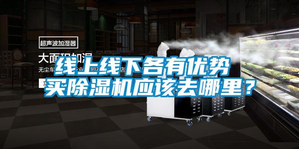線上線下各有優(yōu)勢 買除濕機應該去哪里?