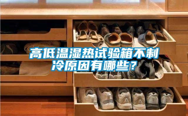 高低溫濕熱試驗箱不制冷原因有哪些？