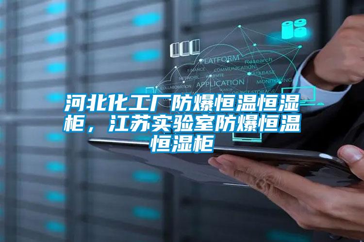 河北化工廠防爆恒溫恒濕柜，江蘇實驗室防爆恒溫恒濕柜