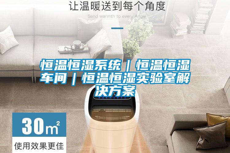 恒溫恒濕系統|恒溫恒濕車間|恒溫恒濕實驗室解決方案