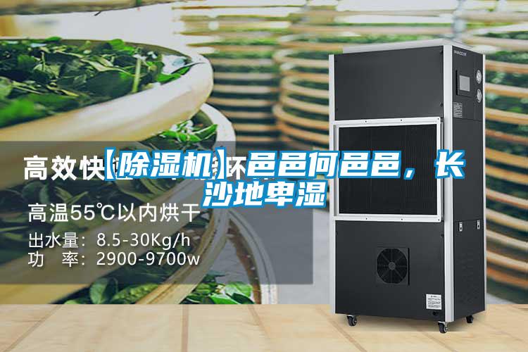 【除濕機】邑邑何邑邑,長沙地卑濕