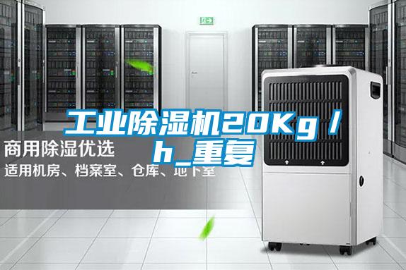 工業(yè)除濕機(jī)20Kg/h_重復(fù)