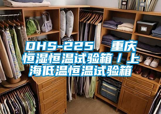 DHS-225 重慶恒濕恒溫試驗箱/上海低溫恒溫試驗箱