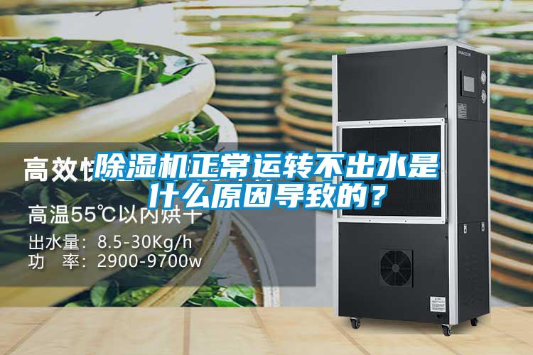 除濕機正常運轉不出水是什么原因導致的？