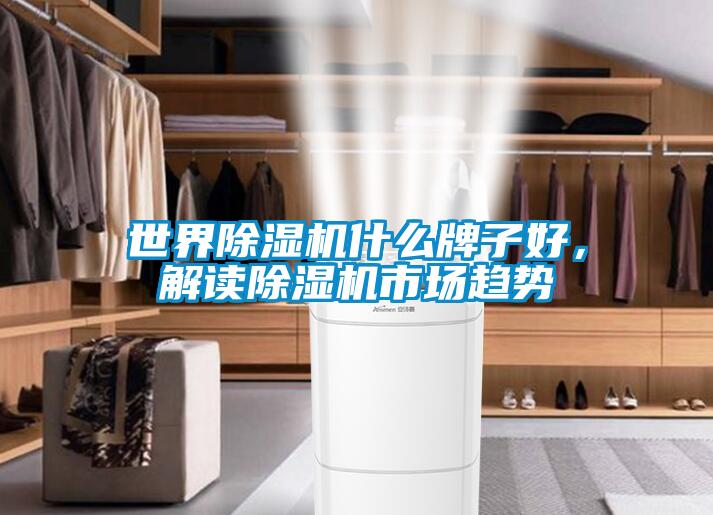 世界除濕機(jī)什么牌子好,解讀除濕機(jī)市場(chǎng)趨勢(shì)
