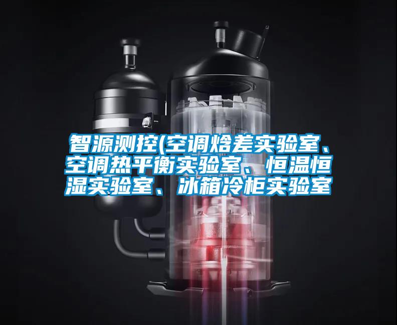 智源測控(空調焓差實驗室、空調熱平衡實驗室、恒溫恒濕實驗室、冰箱冷柜實驗室