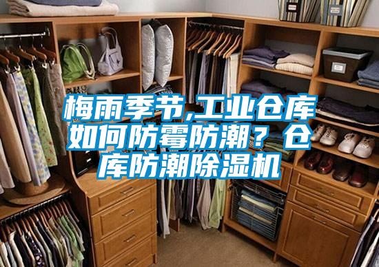 梅雨季節,工業倉庫如何防霉防潮？倉庫防潮除濕機