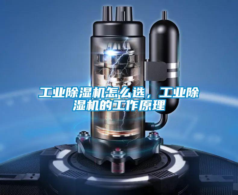 工業除濕機怎么選,工業除濕機的工作原理