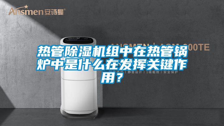 熱管除濕機組中在熱管鍋爐中是什么在發(fā)揮關(guān)鍵作用?