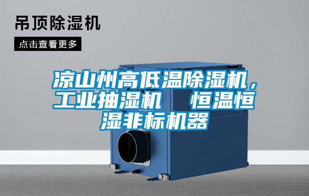 涼山州高低溫除濕機,工業(yè)抽濕機 恒溫恒濕非標機器