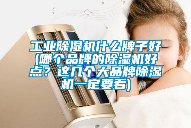 工業(yè)除濕機(jī)什么牌子好(哪個品牌的除濕機(jī)好點?這幾個大品牌除濕機(jī)一定要看)