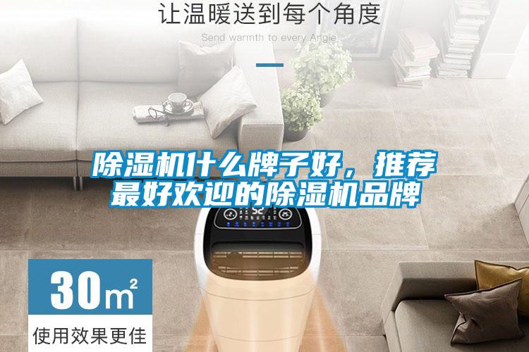 除濕機(jī)什么牌子好，推薦最好歡迎的除濕機(jī)品牌
