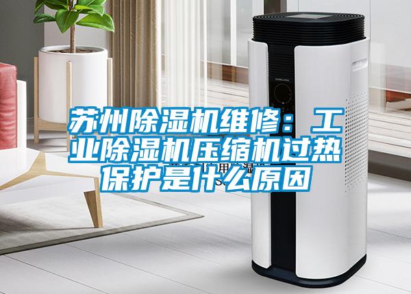 蘇州除濕機維修:工業(yè)除濕機壓縮機過熱保護是什么原因