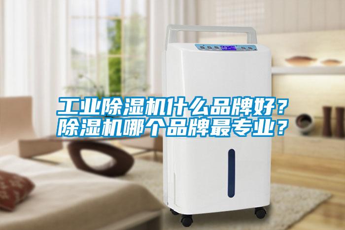 工業(yè)除濕機(jī)什么品牌好？除濕機(jī)哪個品牌最專業(yè)？