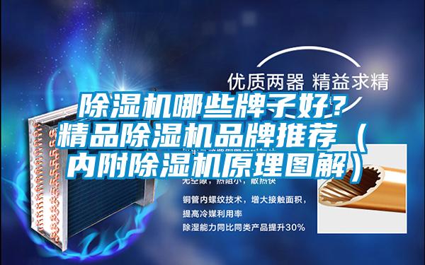 除濕機哪些牌子好?精品除濕機品牌推薦(內附除濕機原理圖解)