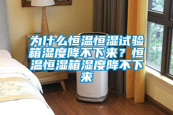為什么恒溫恒濕試驗(yàn)箱濕度降不下來?恒溫恒濕箱濕度降不下來
