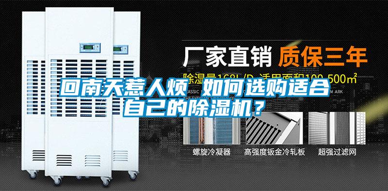 回南天惹人煩 如何選購適合自己的除濕機？