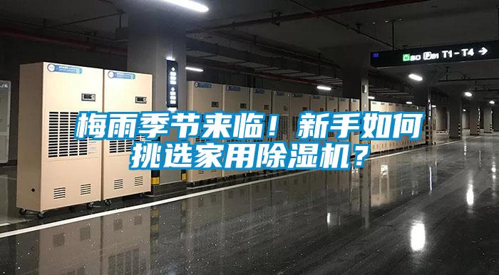 梅雨季節來臨！新手如何挑選家用除濕機？