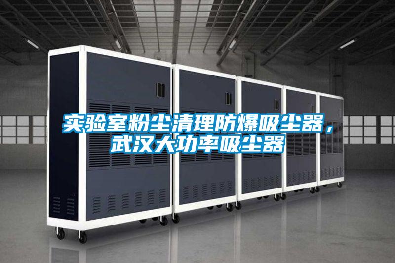 實驗室粉塵清理防爆吸塵器,武漢大功率吸塵器