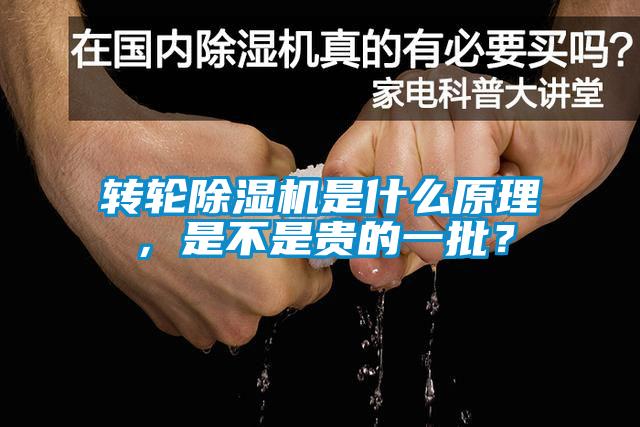 轉輪除濕機是什么原理,是不是貴的一批?