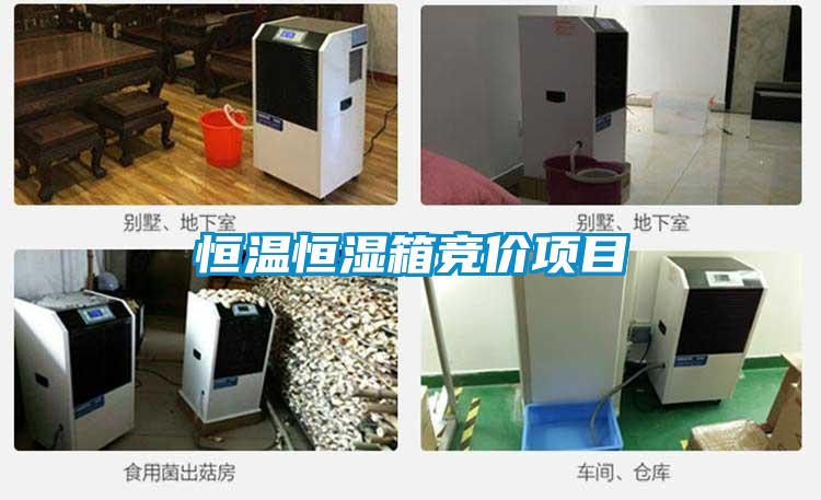 恒溫恒濕箱競價(jià)項(xiàng)目