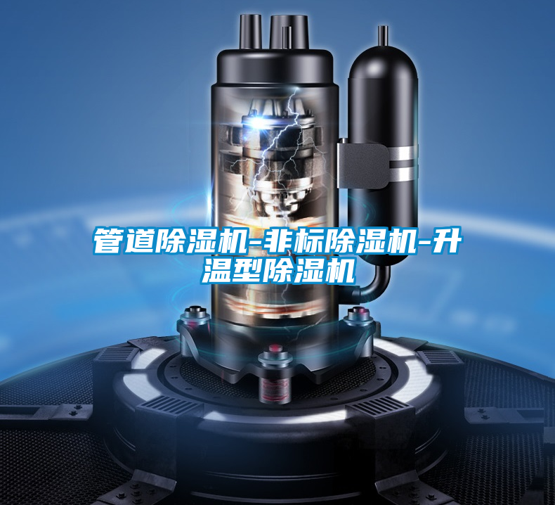 管道除濕機-非標(biāo)除濕機-升溫型除濕機