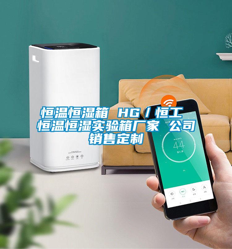恒溫恒濕箱 HG/恒工 恒溫恒濕實(shí)驗(yàn)箱廠家 公司銷售定制