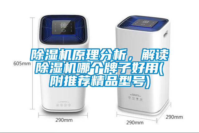 除濕機原理分析,解讀除濕機哪個牌子好用(附推薦精品型號)