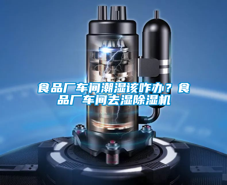 食品廠車(chē)間潮濕該咋辦?食品廠車(chē)間去濕除濕機(jī)
