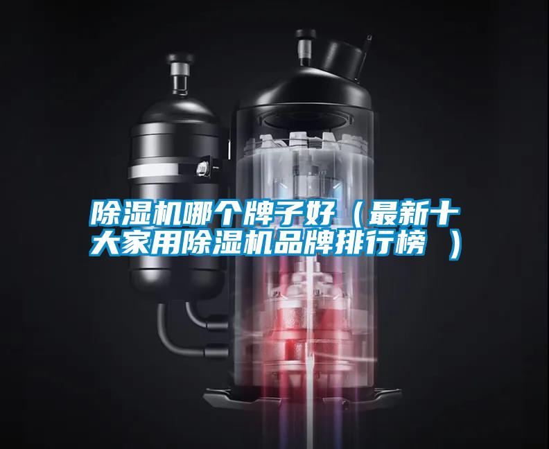 除濕機哪個牌子好(最新十大家用除濕機品牌排行榜 )