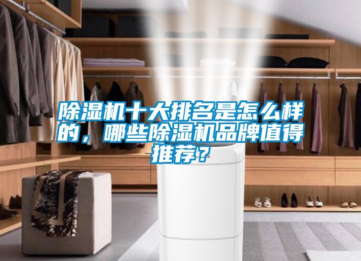 除濕機十大排名是怎么樣的，哪些除濕機品牌值得推薦？