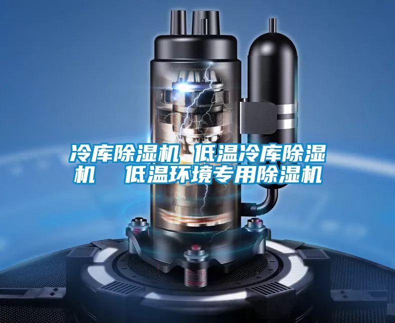 冷庫除濕機 低溫冷庫除濕機 低溫環(huán)境專用除濕機