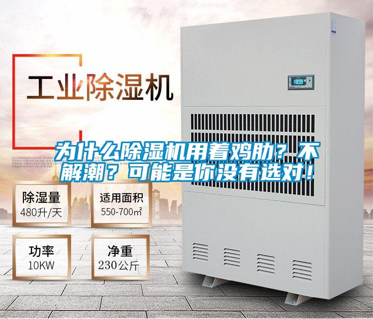 為什么除濕機(jī)用著雞肋？不解潮？可能是你沒(méi)有選對(duì)！