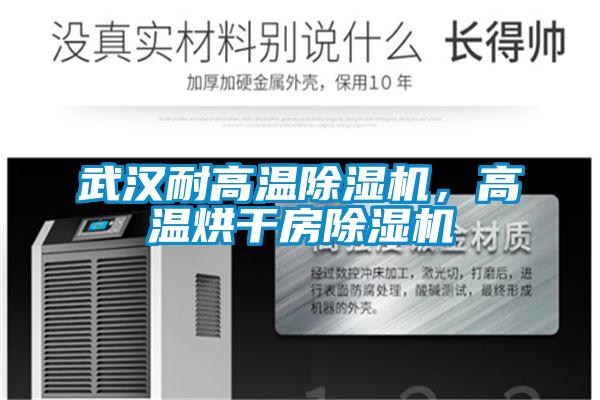 武漢耐高溫除濕機,高溫烘干房除濕機
