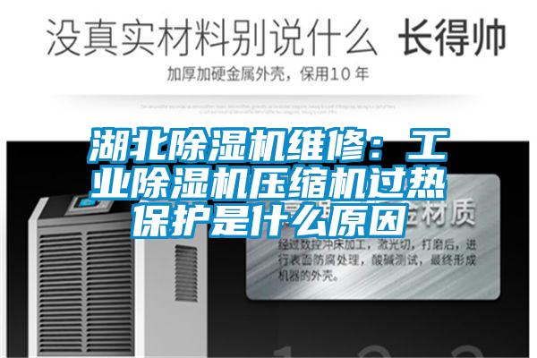 湖北除濕機(jī)維修:工業(yè)除濕機(jī)壓縮機(jī)過(guò)熱保護(hù)是什么原因