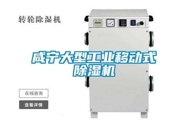 咸寧大型工業(yè)移動式除濕機(jī)