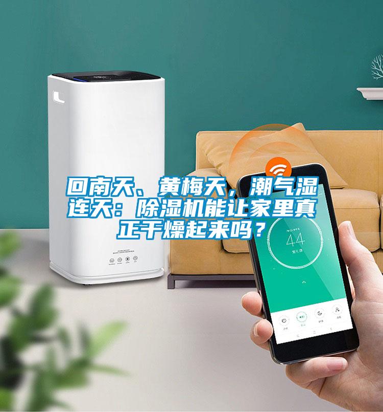 回南天、黃梅天，潮氣濕連天：除濕機能讓家里真正干燥起來嗎？