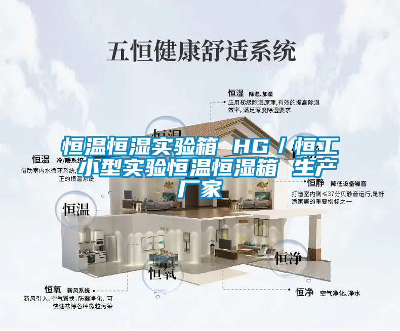 恒溫恒濕實驗箱 HG/恒工 小型實驗恒溫恒濕箱 生產廠家