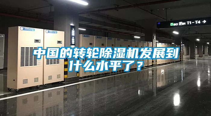 中國(guó)的轉(zhuǎn)輪除濕機(jī)發(fā)展到什么水平了？