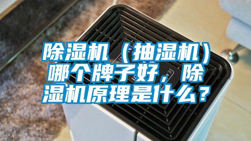 除濕機(抽濕機)哪個牌子好,除濕機原理是什么?